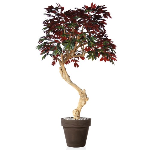 Planta semi-artificiala Ila, Capensia Nidra Green Red - 250 cm